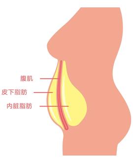 明明体重相同 别人却比你显瘦很多 体脂率了解一下 家用医疗器械科普和宣传